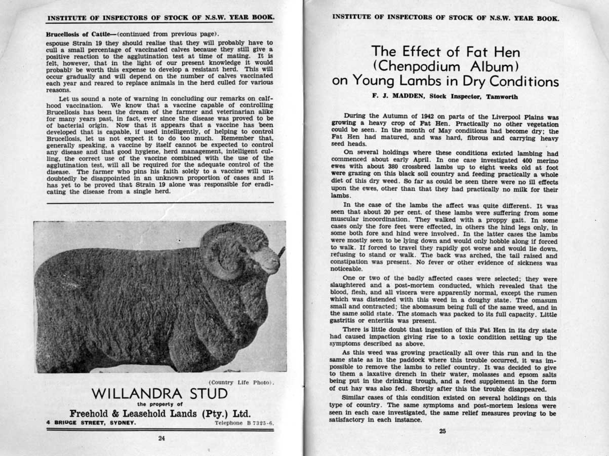 1943 Page 24 25
